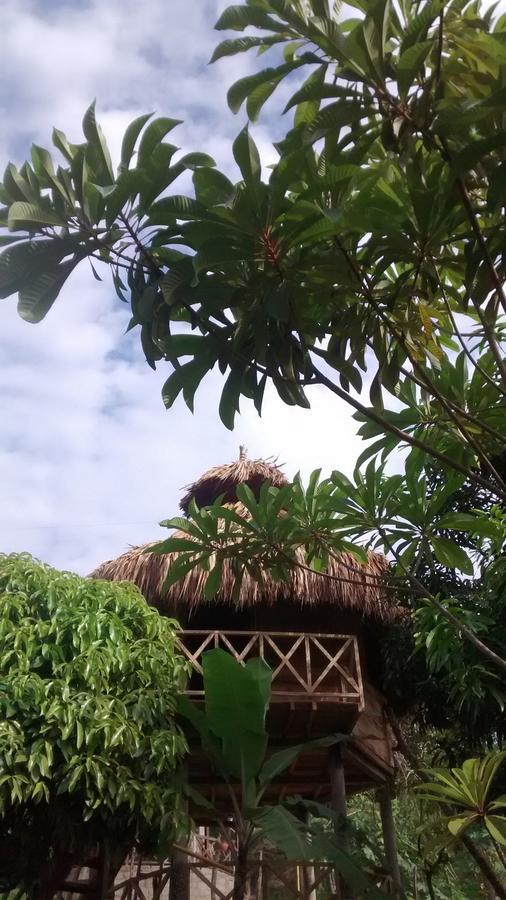 Posadas Ecoturisticas Seineken El Zaino Exterior foto