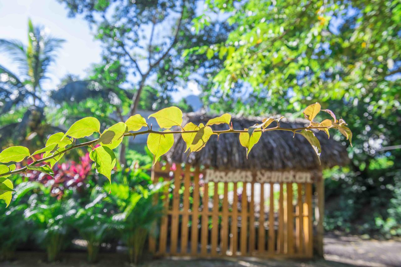 Posadas Ecoturisticas Seineken El Zaino Exterior foto