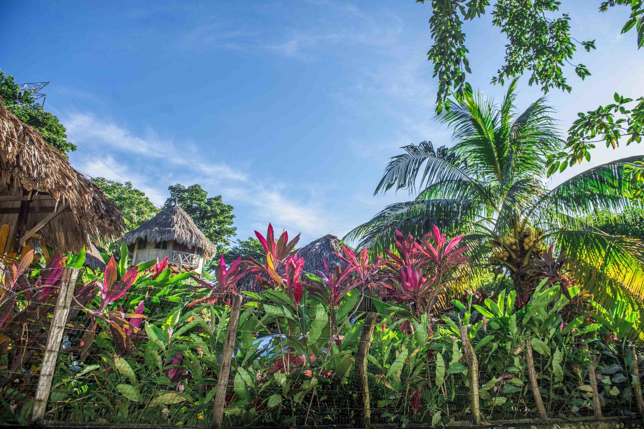 Posadas Ecoturisticas Seineken El Zaino Exterior foto