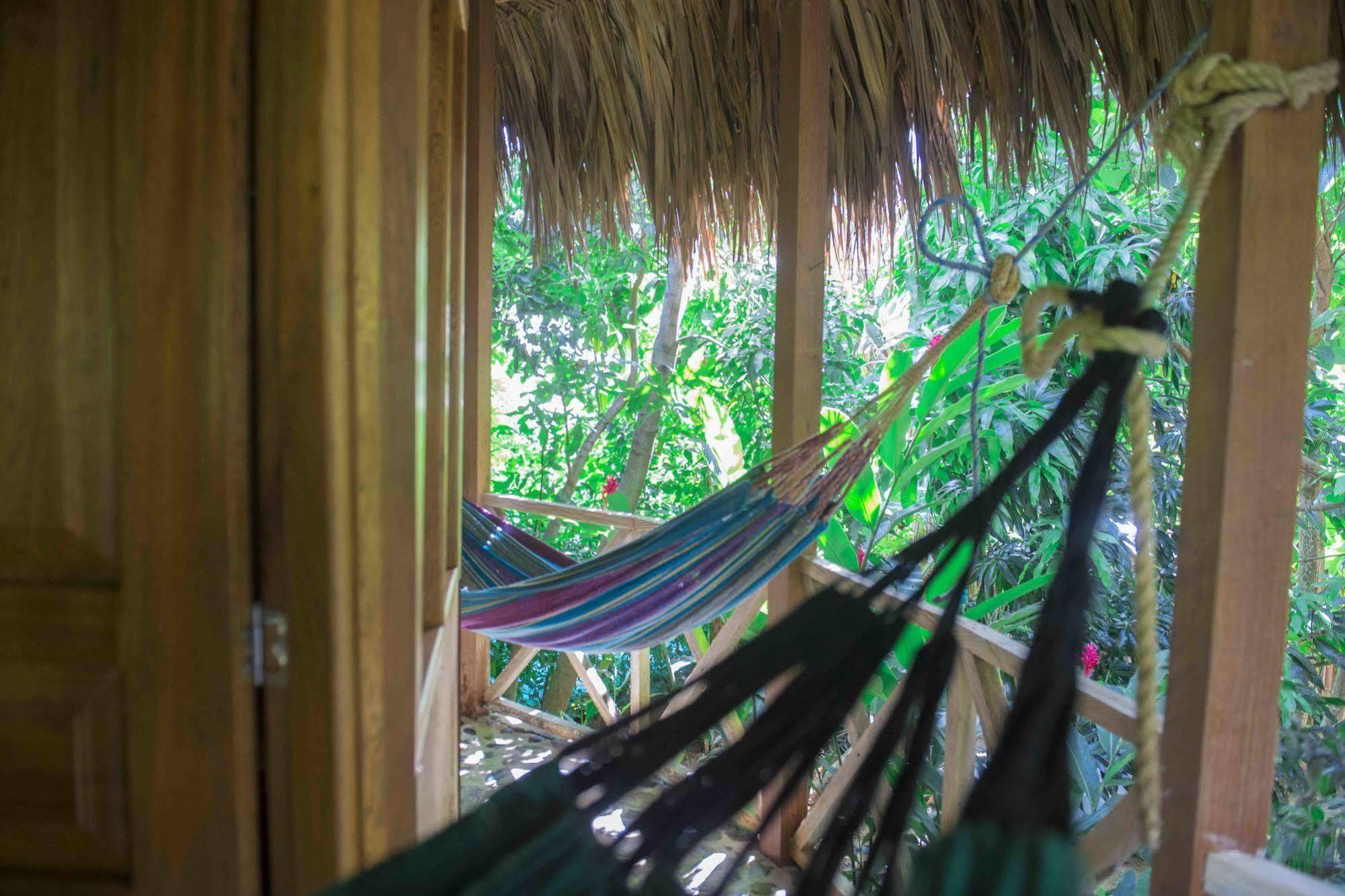 Posadas Ecoturisticas Seineken El Zaino Exterior foto